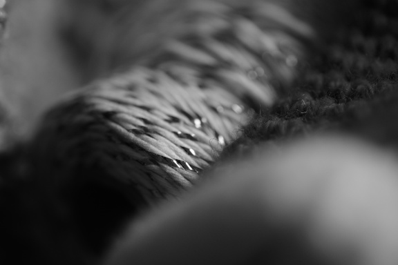 X-T30-20231210172000-01